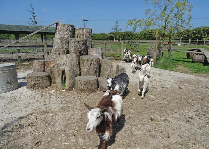 Barmston Farm Ξενοδοχείο Kingston upon Hull Εξωτερικό φωτογραφία