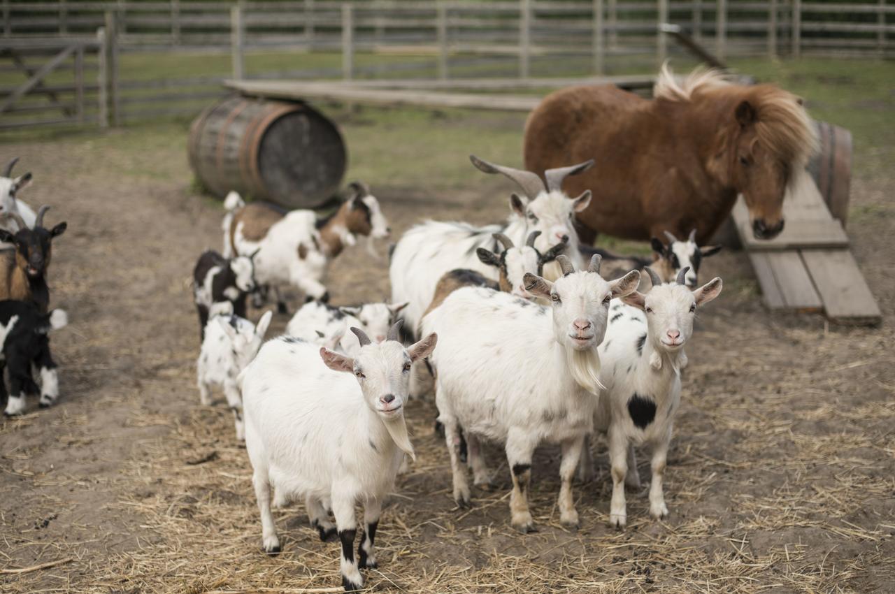 Barmston Farm Ξενοδοχείο Kingston upon Hull Εξωτερικό φωτογραφία