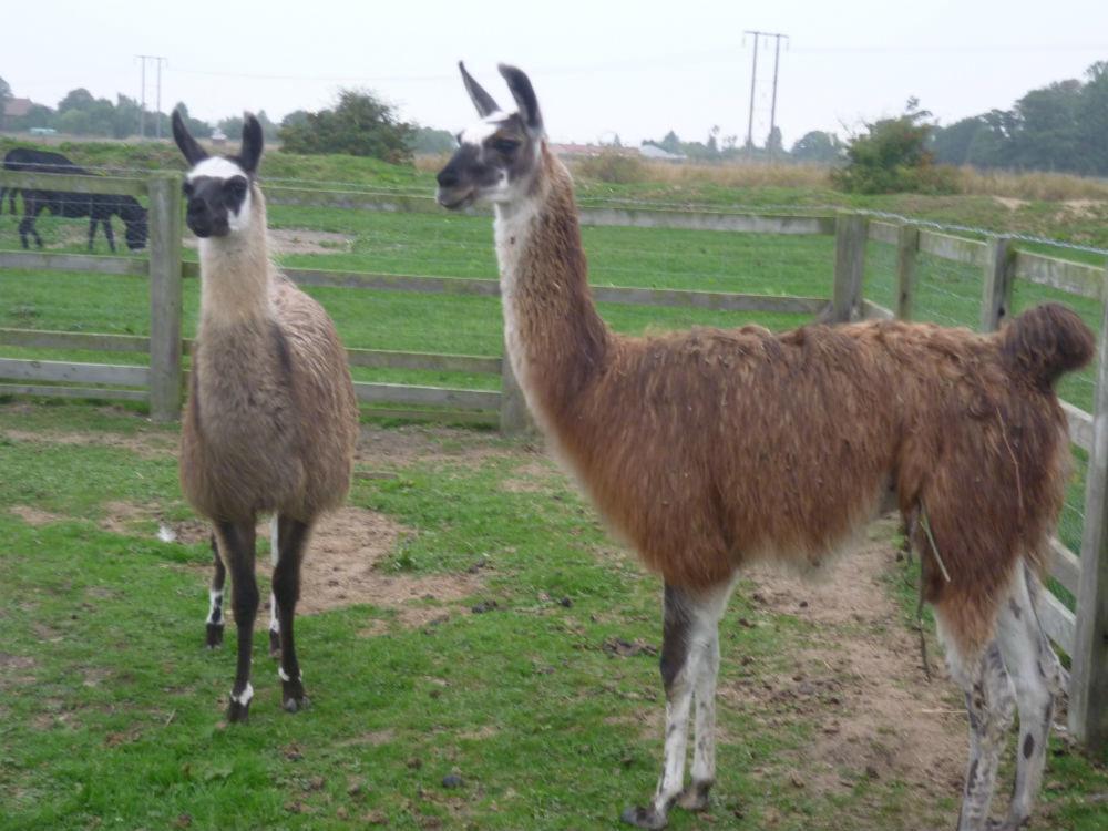 Barmston Farm Ξενοδοχείο Kingston upon Hull Εξωτερικό φωτογραφία