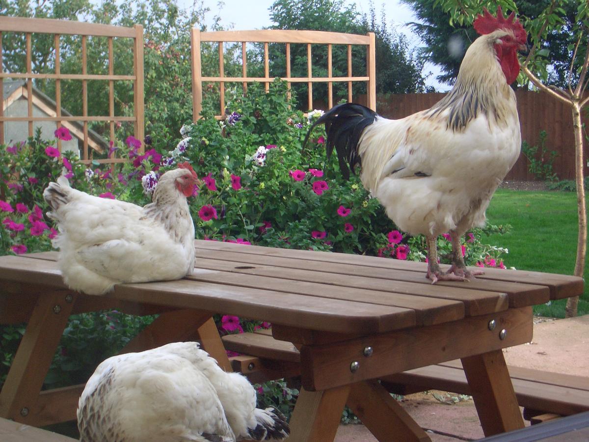 Barmston Farm Ξενοδοχείο Kingston upon Hull Εξωτερικό φωτογραφία