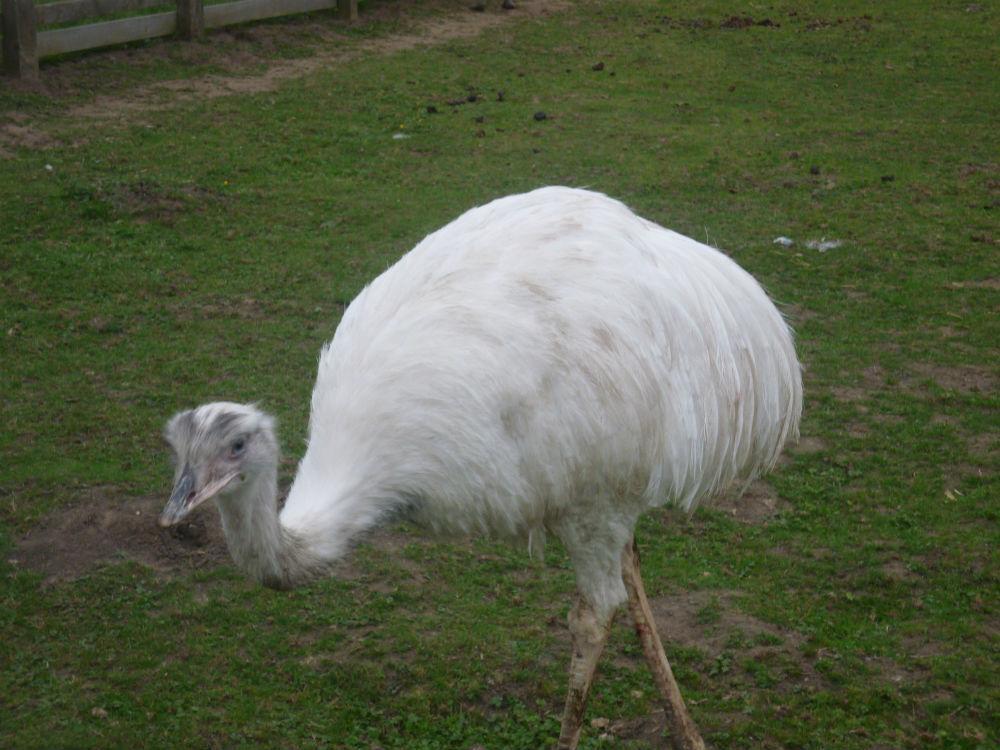 Barmston Farm Ξενοδοχείο Kingston upon Hull Εξωτερικό φωτογραφία
